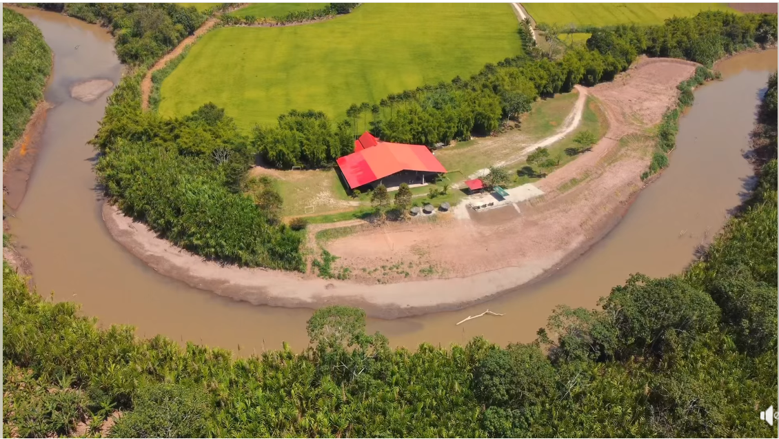 Avistamiento de aves exóticas